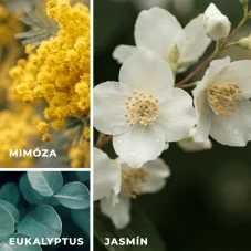 Vonné vosky: Jasmín a mimóza
