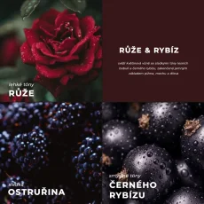 Sójová svíčka: Růže a rybíz
