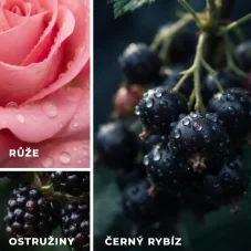 Sójová svíčka: Růže a rybíz