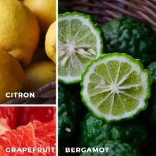 Vonné vosky: Bergamot a mandarinka