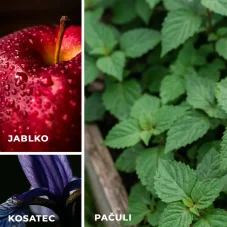 Vonné vosky: Jablko a pačuli